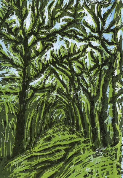 A path through the woods, in light blue, light green, dark green and black.